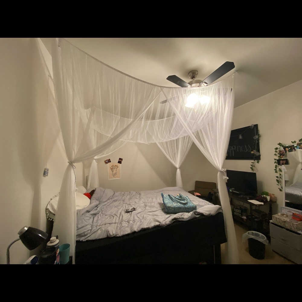 Canopy for bed - Picture 3 of 3